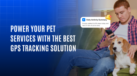 best GPS pet tracking solutions